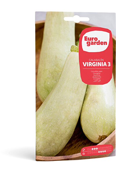 EURO GARDEN بذور الكوسة (كالاباسين فيرجينيا 3) عالية الجودة مصنوعة في إسبانيا