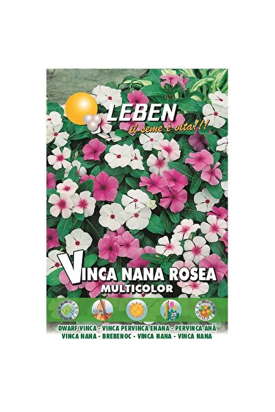 Leben Dwarf Vinca (Vinca Nana Rosea Multicolor) Premium Quality Seeds Made in Italy