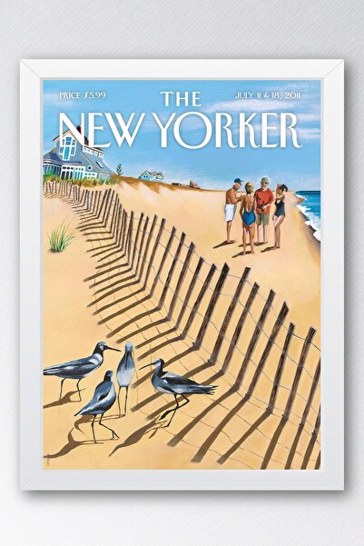 Saturn Tabloul cu rame The New Yorker 11 iulie 2011 - Tabloul păsărilor de plajă
