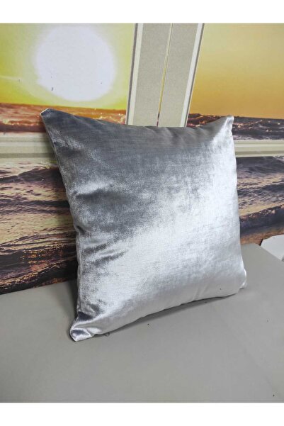 Evcimenhome Thick Velvet Throw Pillow Cover 43Cmx43Cm Color: Silver Grey
