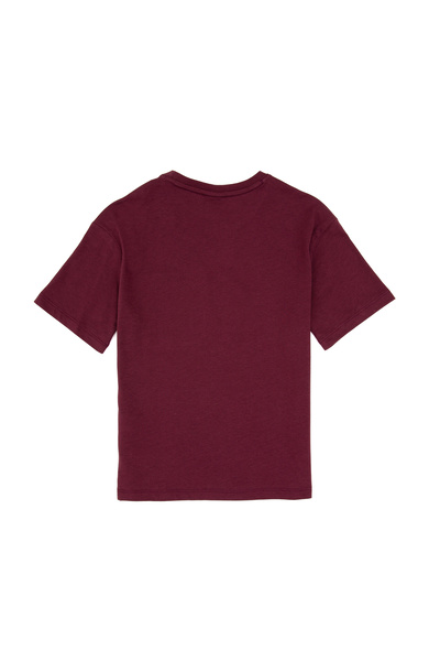 U.S. Polo Assn. Boy's Claret Red T-Shirt 50314946-Vr177