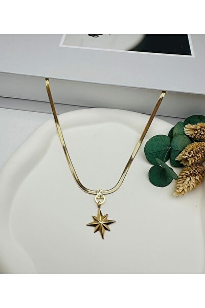 Çelik Kuzey Yıldızı Detaylı Kolye (Gold)