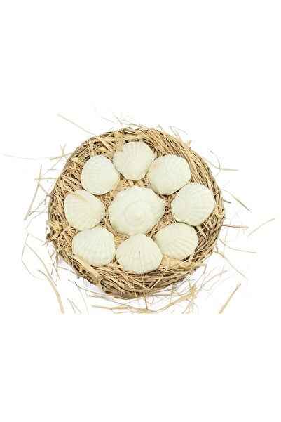 NEFERTARİ مجموعة البحر الأحمر من نفرتارى