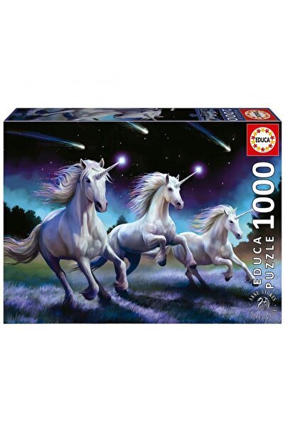 EDUCA Puzzle, Educa, Falling Stars, Anne Stokes, 1000 pieces