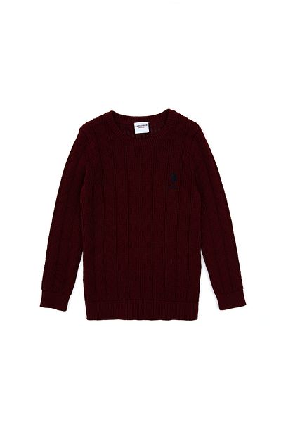 U.S. Polo Assn. Boy's Burgundy Basic Sweater 50315638-Vr014