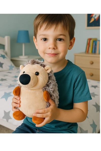 LRS STORE Plush Hedgehog Toy 24 cm Super Soft Sleeping and Playmate High Quality Toy Gift