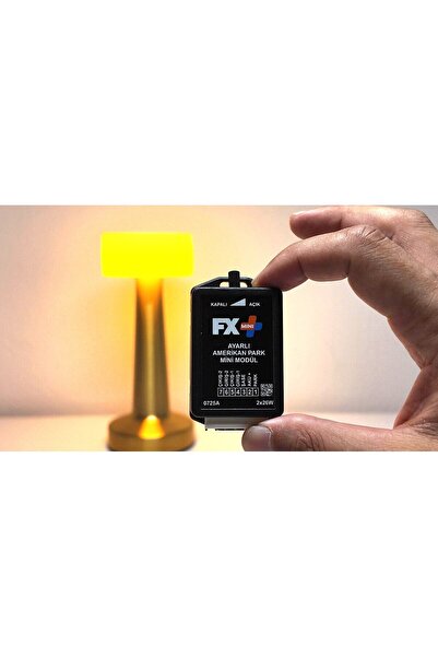 iq elektronik FX PLUS Mini Ayarlı Amerikan Park Motosiklet Uyumlu Amerikan Park Modülü