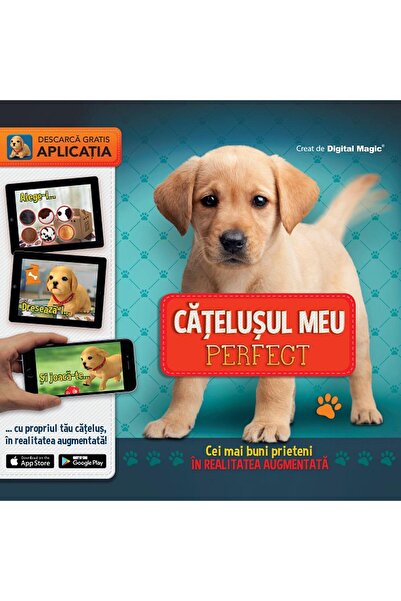 Editura Litera Catelusul meu perfect. Cei mai buni prieteni in re