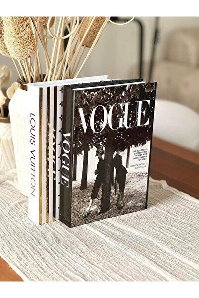 BGV HOME Decorative Book Box Set of 2 (Xl/V)