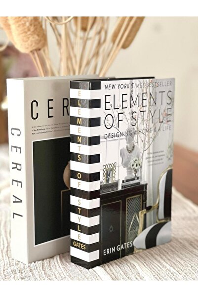BGV HOME Decorative Book Box Set of 2 (C/El)