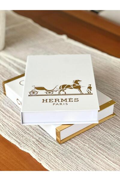 BGV HOME Decorative Book Box Set of 2 (He/C)