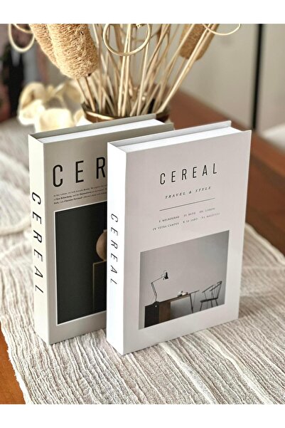 BGV HOME Decorative Book Box Set of 2 (C/C)