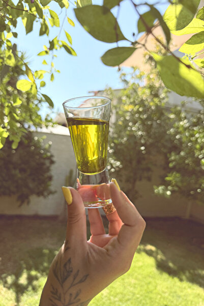 KUBEY NATURALS Soğuk Sıkım Natürel Sızma Zeytinyağı, Erken Hasat (20 lt)