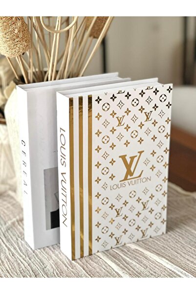 BGV HOME Decorative Book Box Set of 2 (Ce/Vl)