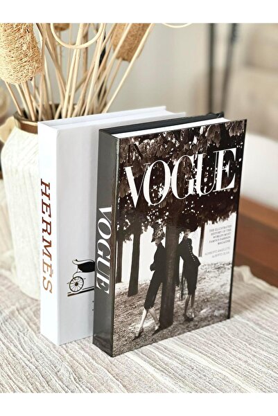 BGV HOME Decorative Book Box Set of 2 (V/He)