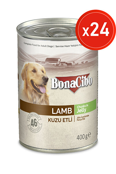 BonaCibo Jöleli Kuzu Etli Yaş Köpek Maması, 400 Gr x 24 Adet, Tüm Irklar İçin...