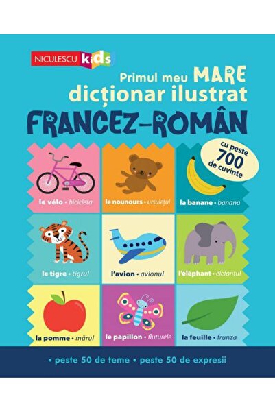 Editura Niculescu My first large illustrated French-Romanian dictionary.