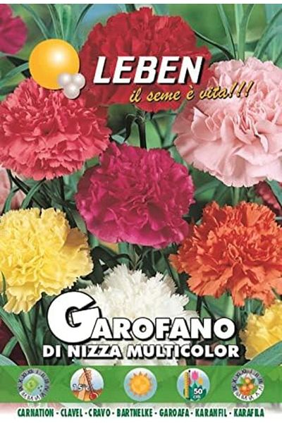 Leben Carnation (Garofano Di Nizza Multicolor) Premium Quality Seeds Made in Italy