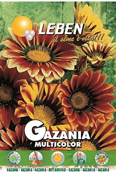 Leben Gazania Multicolor Premium Quality Seeds Made in Italy by DXB Garden