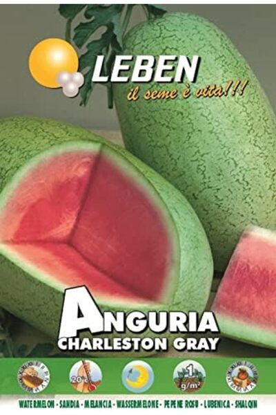 Leben Anguria Watermelon (Lubenica Charleston Gray) Premium Quality Seeds Made in Italy