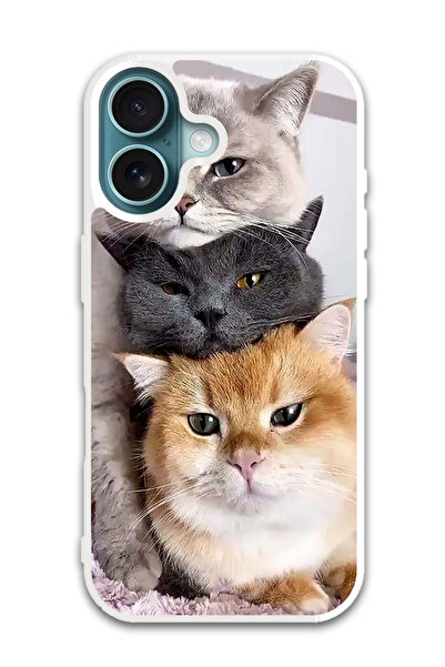 Theodor غطاء حماية لهاتف أبل آيفون 16 بلس، قطط (مصد أبيض)