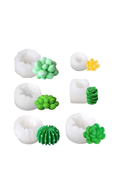 Generic 6 Pack Succulent Silicone Mold - Cactus Flower Resin Casting Molds fo...