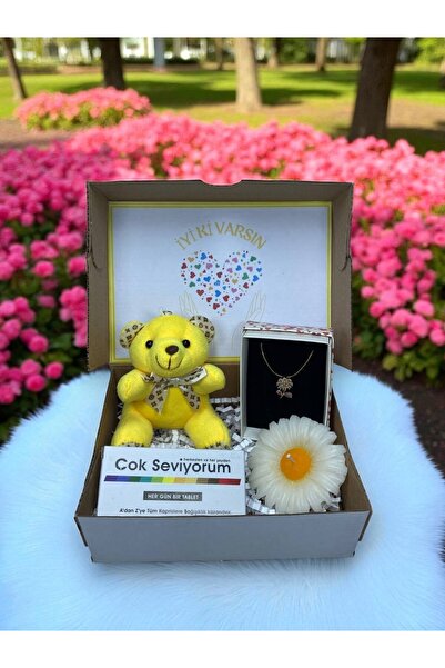 miraybutikhediyelikesya İyi Ki Varsın Hediye Kutusu – Peluş Ayıcık Anahtarlık...