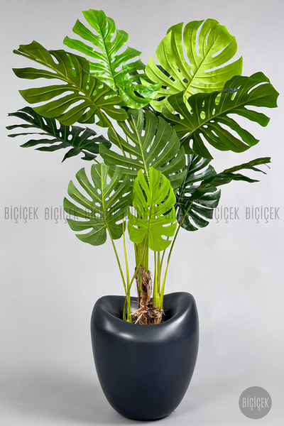BİÇİÇEK Yapay Monstera Ağacı 150-170 cm