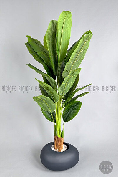 BİÇİÇEK Yapay Muz Ağacı 185-220 cm