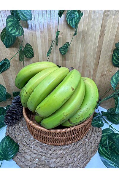 miralanya meyvecim 10 adet Pasiflora 1 Kg Muz 1 adet Ejder 1 adet Mango