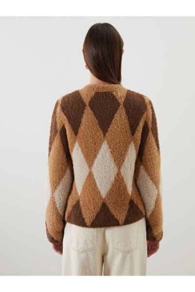 LC Waikiki Bisiklet Yaka Baklava Desenli Kadın Triko Hırka