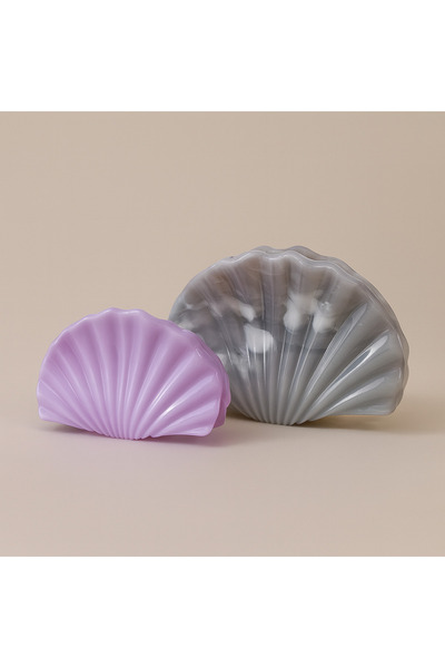 Pretty Women's Seashell Model Latch Buckle Set – (Large and Small Size)