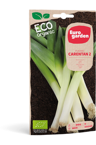 EURO GARDEN Organic Leek (Puerro Carentan 2) Premium Quality Seeds Made in Spain