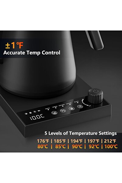 ibsun Electric Kettles, Gooseneck Electric Kettle, ±1℃ Temperature Control, Stainless Steel Inner, Quic