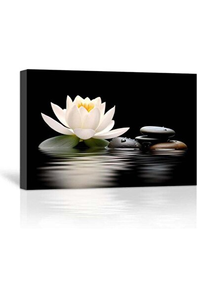 Emoda home Trove لوحة فنية جدارية من LZIMU Zen، زهور اللوتس، أحجار على الماء، مطبوعات قماشية