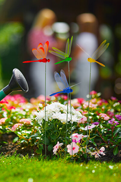 Garden with Ware Dekoratif Yusufçuk - 10'lu