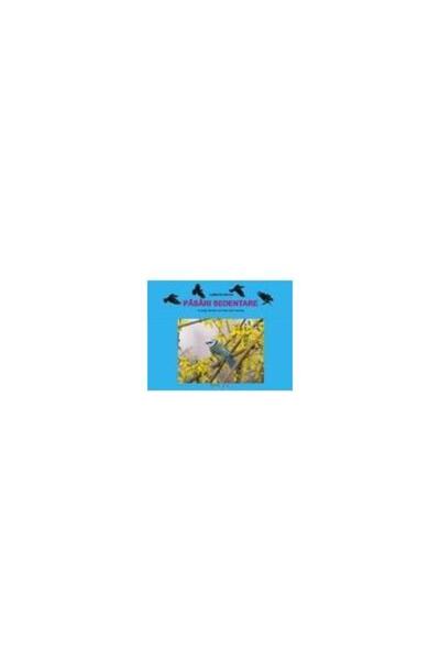 Editura Tehno Art PASARI SEDENTARE - planse, Luminita Mihoc