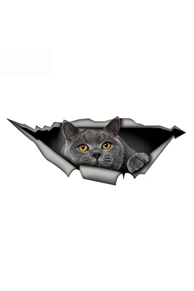 TSC British Shorthair Funny Cat Car Sticker Gray