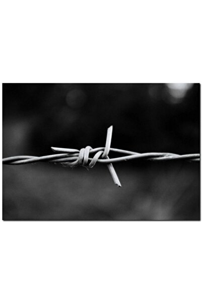 Cakatablo Ξύλινος πίνακας με αγκαθωτό σύρμα σε μαύρο και λευκό (μέγεθος 25x35...