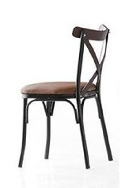 OnurMobilyaEvimde 2 Adet Bahar Sandalyesi Mutfak Sandalye 2 Li Sandalye