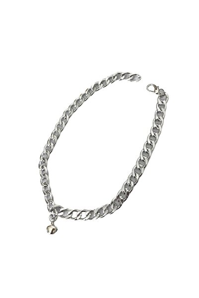 Aker Hediyelik Kedi Köpek Kolye Künyesi Zincir Paslanmaz Kararmaz Alüminyum Malzeme Özel Üretim