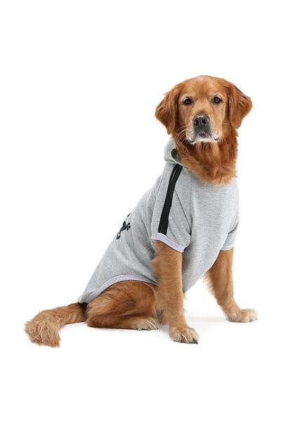 Kopek Kiyafeti Modelleri Ve Fiyatlari Trendyol Sayfa 3