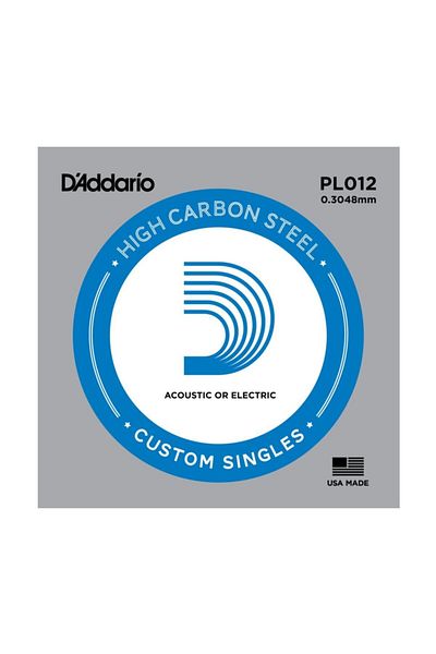Daddario Pl012 Single Electric and Acoustic Guitar String (012)