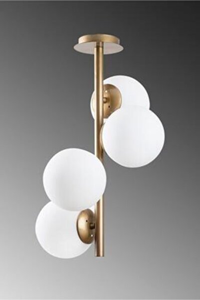 Rich Light Raks Avize