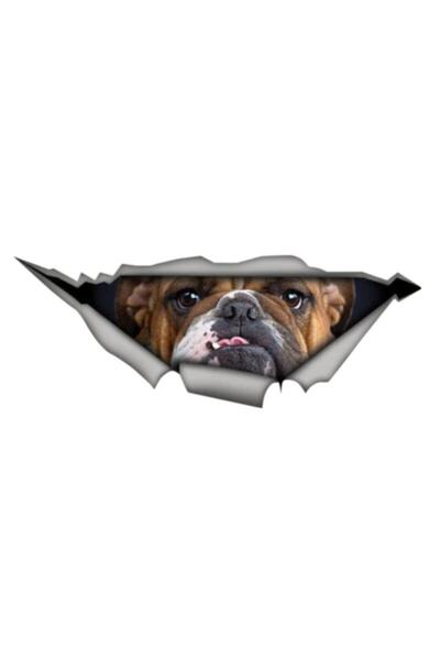 TSC Autocolant pentru câine Bulldog