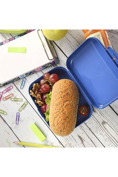 Cosiness Daily Lunch Box 1000 Ml