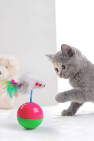 Buffer 2 Pieces Cat Play Ball with Furry Mouse Pilgrim Recliner Educational Kitten Mouse Chasing Toy