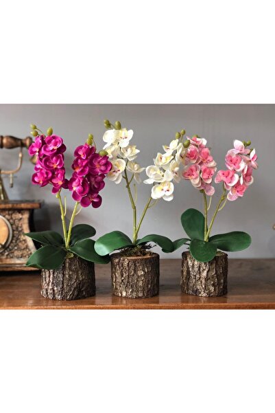 Dekor Yapay Çiçek 3 Adet Orkide Odun Saksılı Hediyelik Çiçek Gönder