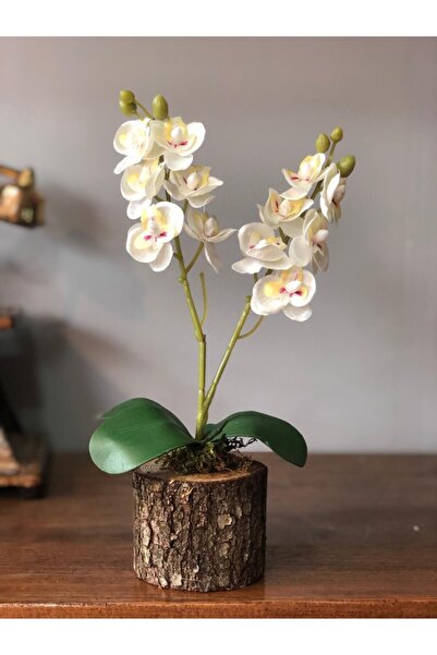 Dekor Yapay Çiçek 3 Adet Orkide Odun Saksılı Hediyelik Çiçek Gönder