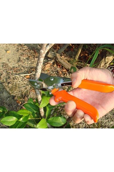 King Tiger Original Pruning Shears A Quality